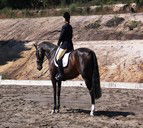 Apptrak Stud - Accommodation Mount Tamborine 0