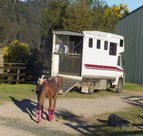 Apptrak Stud - Accommodation Mount Tamborine 1