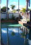 Coachman Motor Inn - Accommodation Mount Tamborine 3
