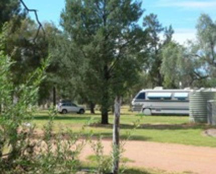 Camp Cypress Ltd - Accommodation Mount Tamborine 2