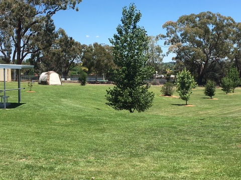 Canobolas Caravan Park - Accommodation Mount Tamborine 3
