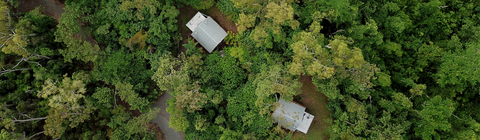 Rainforest Ranch - Accommodation Mount Tamborine 5