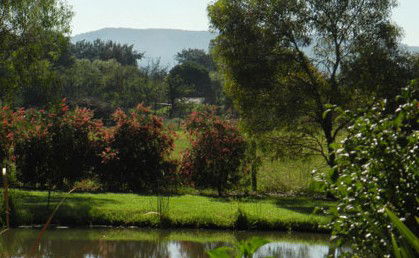 Amazing Country Escapes - Evanslea By The River - Accommodation Mount Tamborine 4