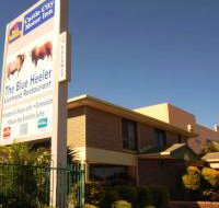 Best Western Cattle City Motor Inn - Accommodation Mount Tamborine