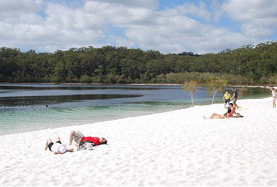 Whalecove Resort - Accommodation Mount Tamborine 2