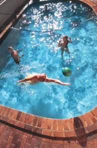 Palace Backpackers Hervey Bay - Accommodation Mount Tamborine 4