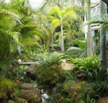 Chamomile Bed and Breakfast - Accommodation Mount Tamborine