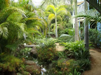 Chamomile Bed And Breakfast - Accommodation Mount Tamborine 0