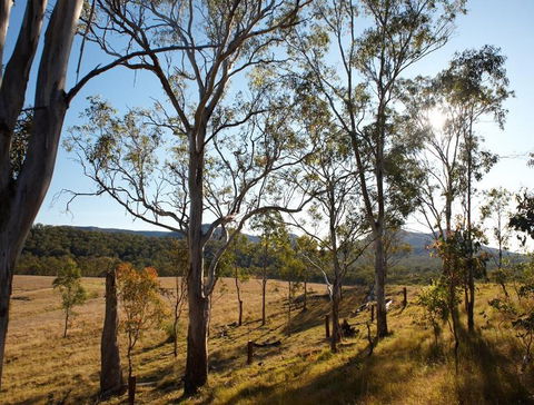 Spicers Canopy - Accommodation Mount Tamborine 4