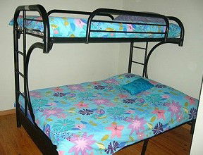 The Dolph Inn - Accommodation Mount Tamborine 5