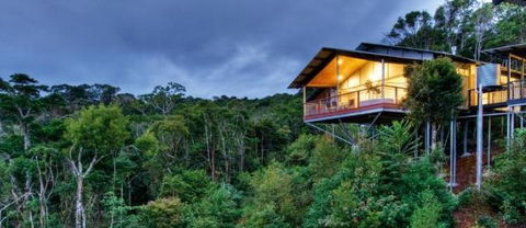OReillys Mountain Villas - Accommodation Mount Tamborine 1