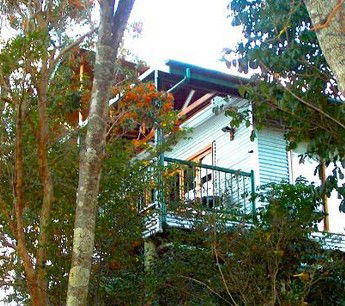 Worendo Cottages - Accommodation Mount Tamborine 1
