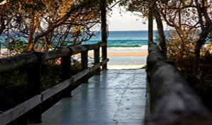 Anchorage Beachfront Island Resort - Accommodation Mount Tamborine 4