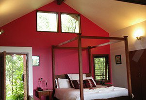 Mountain Edge Studios - Accommodation Mount Tamborine 1