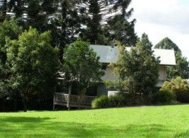 Ivorywood - Holiday Home - Unit - Accommodation Mount Tamborine 3