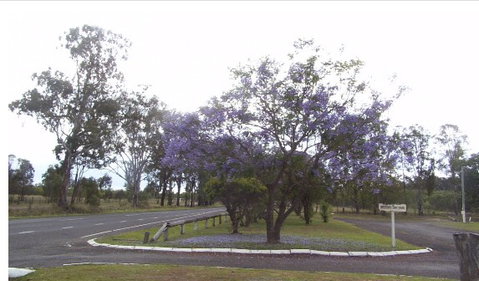 Nanango Caravan And Motorhome Park - Accommodation Mount Tamborine 4