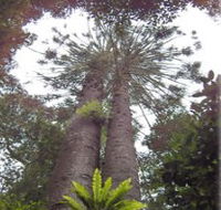 Moorlands Country Retreat - Accommodation Mount Tamborine