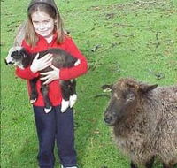 Cinnamon Coloureds Farmstay - Accommodation Mount Tamborine