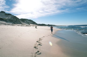 Munglinup Beach Caravan Park - Accommodation Mount Tamborine 0