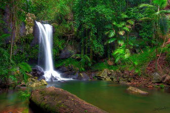 Amber Lodge Bed & Breakfast Tamborine Mountain - Accommodation Mount Tamborine 2