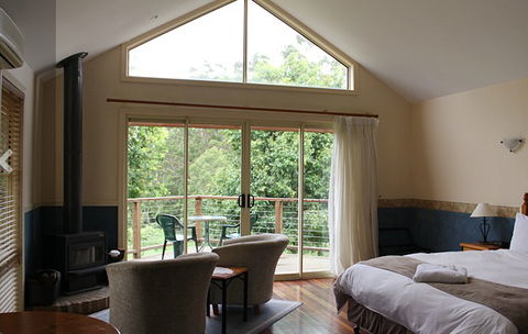 Tamborine Gardens - Accommodation Mount Tamborine 0