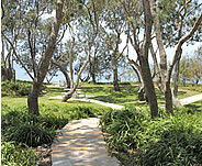 Beachmere Lions Caravan Park - Accommodation Mount Tamborine 2