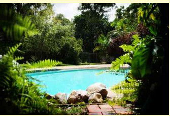 Gumnut Glen Cabins - Accommodation Mount Tamborine 0