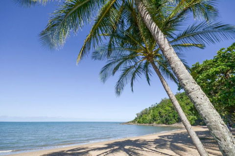 Roydon Beachfront Holiday Apartments - Accommodation Mount Tamborine 4