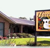 Begonia City Motor Inn - Accommodation Mount Tamborine