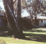 Winbi River Resort - Accommodation Mount Tamborine
