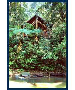The Canopy Treehouses - Accommodation Mount Tamborine 1