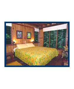 The Canopy Treehouses - Accommodation Mount Tamborine 3