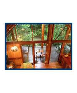 The Canopy Treehouses - Accommodation Mount Tamborine 4