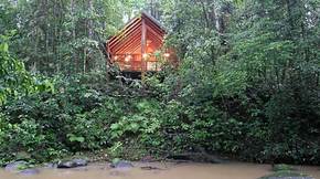 The Canopy Treehouses - Accommodation Mount Tamborine 5