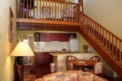 The Great Escape Lofts - Accommodation Mount Tamborine 3