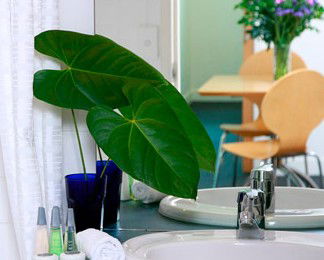 The Point Brisbane - Accommodation Mount Tamborine 2