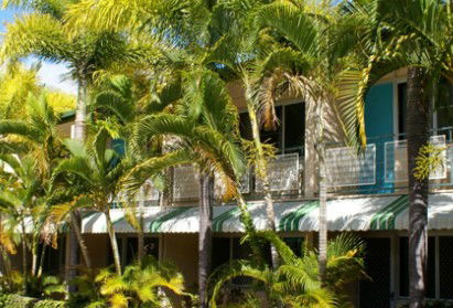 Palm Waters Holiday Villas - Accommodation Mount Tamborine 1