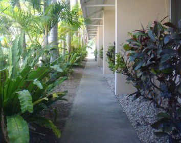 Palm Waters Holiday Villas - Accommodation Mount Tamborine 2