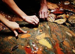 Daintree Eco Lodge And Spa - Accommodation Mount Tamborine 0