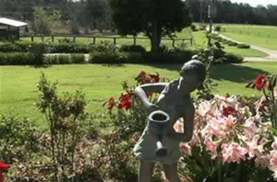 Jacaranda Country Lodge - Accommodation Mount Tamborine 2