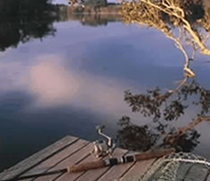 Jacaranda Country Lodge - Accommodation Mount Tamborine 4