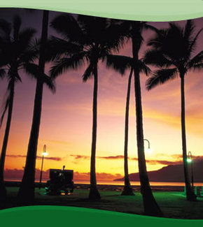 Bay Village Tropical Retreat, Cairns - Accommodation Mount Tamborine 1