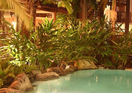 Hibiscus Gardens Spa Resort - Accommodation Mount Tamborine 3