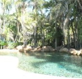 Bushland Beach Tavern - Accommodation Mount Tamborine