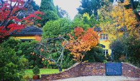 Moniques Bed And Breakfast - Accommodation Mount Tamborine 3
