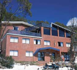 Viking Alpine Lodge - Accommodation Mount Tamborine 0