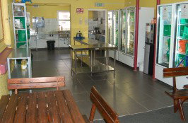 Surf N Sun Beachside Backpackers - Accommodation Mount Tamborine 3