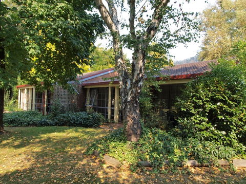 Bright Highland Valley Cottages - Accommodation Mount Tamborine 5