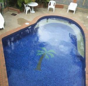 Palms Motel - Accommodation Mount Tamborine 0
