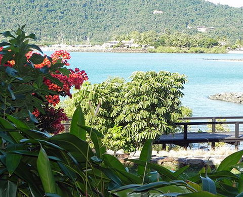 Airlie Waterfront Bed And Breakfast - Accommodation Mount Tamborine 1